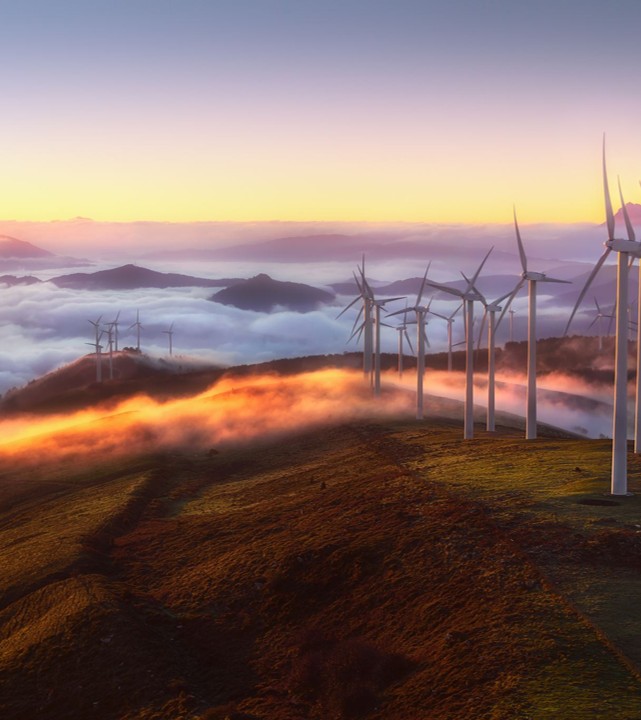 Industrial Voltage Regulator Unit